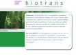 biotrans.hu Jól jöhetnek